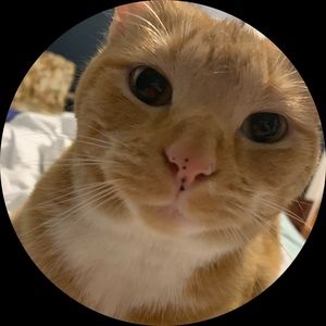 Meet your Posher, Jen